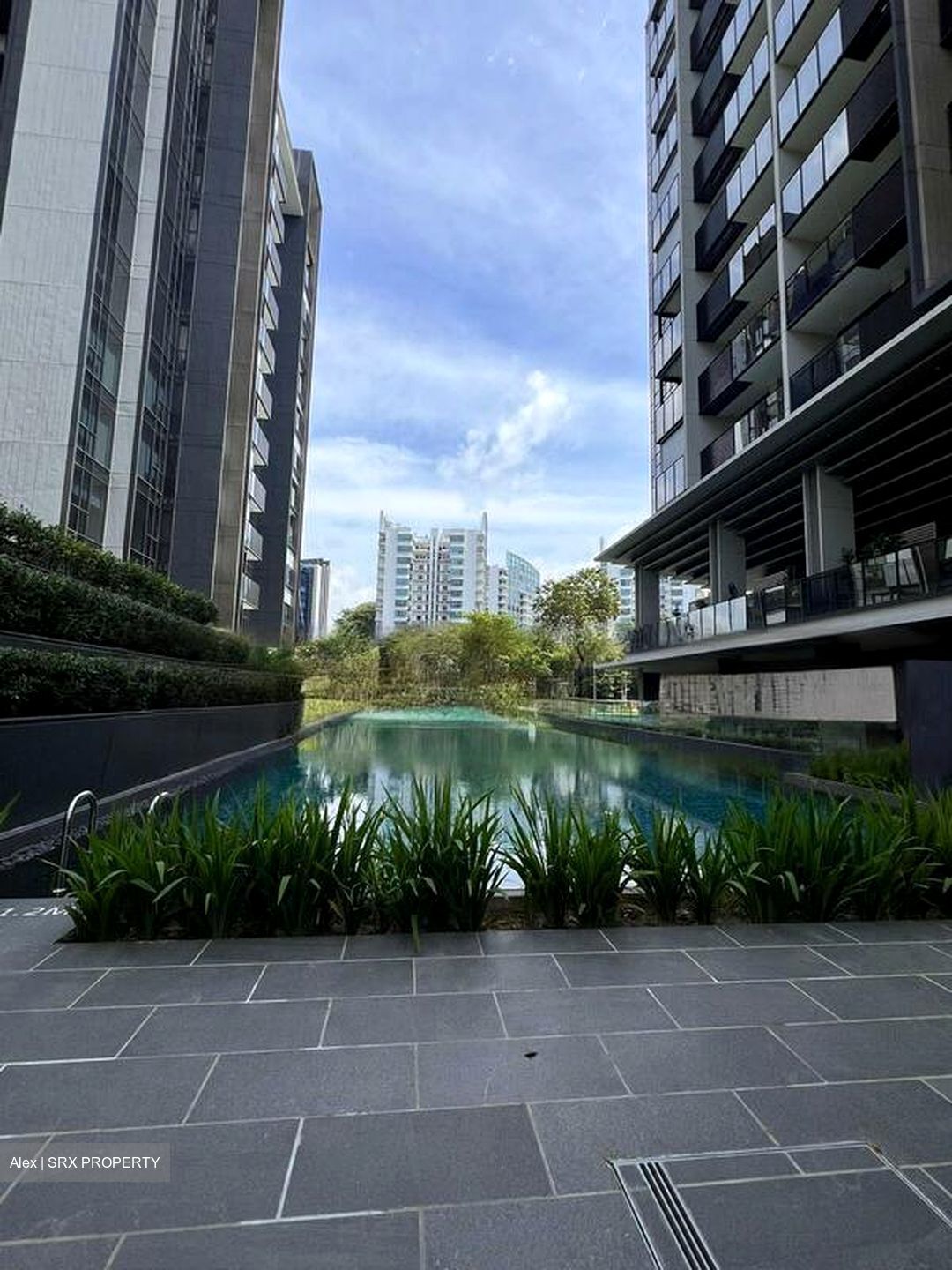 Leedon Green (D10), Condominium #481941551